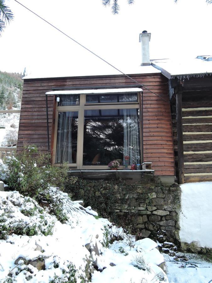 Atelier Eliska Apartamento Staré Hory Exterior foto