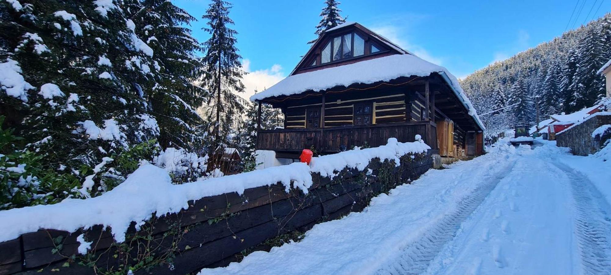 Atelier Eliska Apartamento Staré Hory Exterior foto